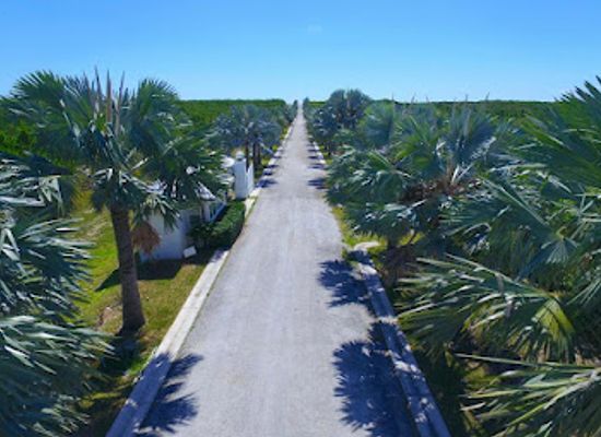 the-bahamas/abaco-islands/landmark/serenity-beach-resort