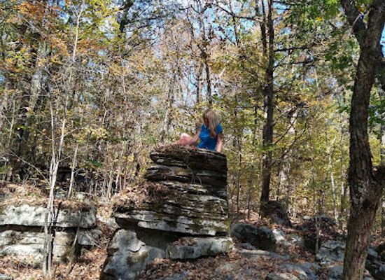 alabama/talladega-national-forest/landmark/rickwood-caverns-state-park