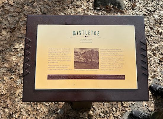 california/yosemite-village/landmark/indian-village-of-ahwahnee