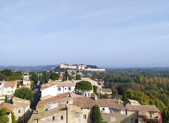france/avignon/landmark/philippe-le-bel-tower