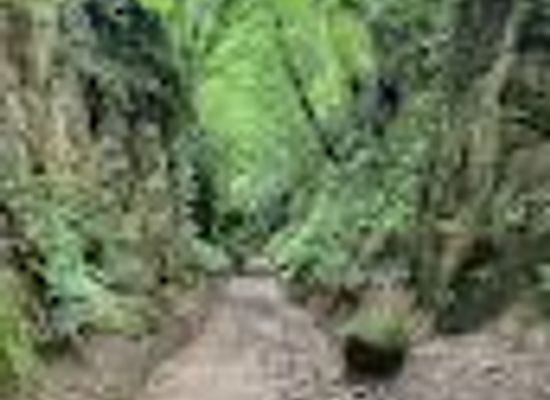 united-kingdom/dorset/landmark/shute-s-lane