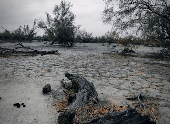 kazakhstan/lake-balkhash-region/landmark/ile-balkhash