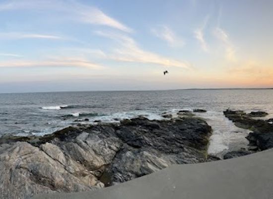 rhode-island/beavertail-state-park/landmark/beavertail-aquarium