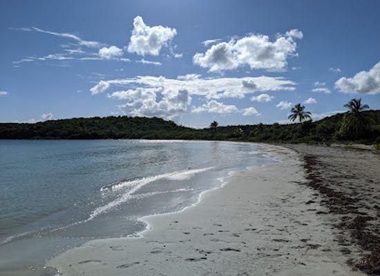 puerto-rico/vieques-island/landmark/playa-la-plata