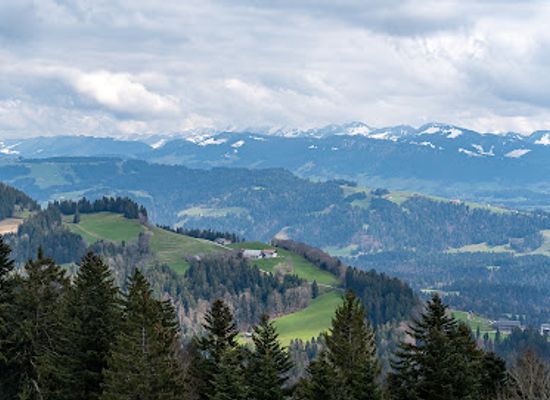 germany/swabia/landmark/alpenwildpark-pfander