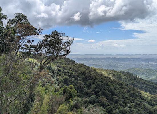 puerto-rico/central-mountain-range/landmark/la-torre-de-piedra