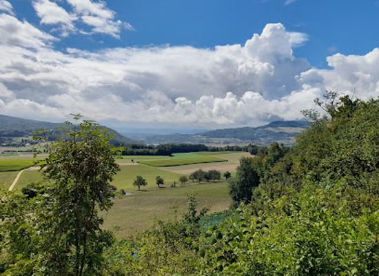 switzerland/aargau/landmark/schloss-habsburg