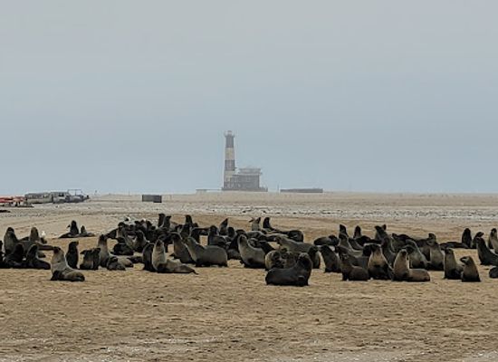 namibia/walvis-bay/landmark/namibia-kayak-tours