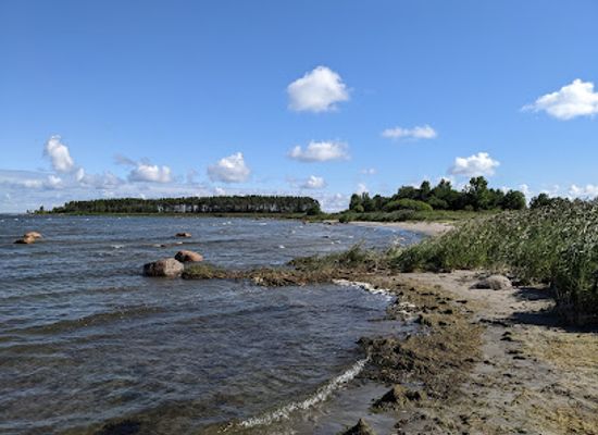 estonia/laane-virumaa/landmark/ehalkivi