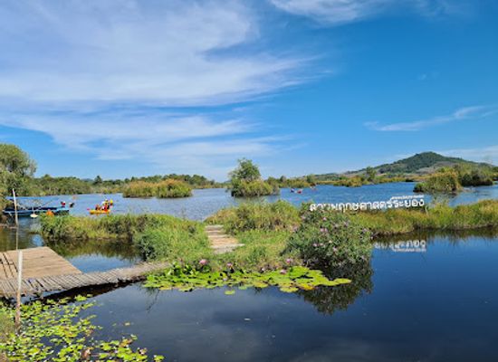 thailand/rayong/klaeng/landmark/rayong-botanical-garden-aquatic-plants-and-living-collection