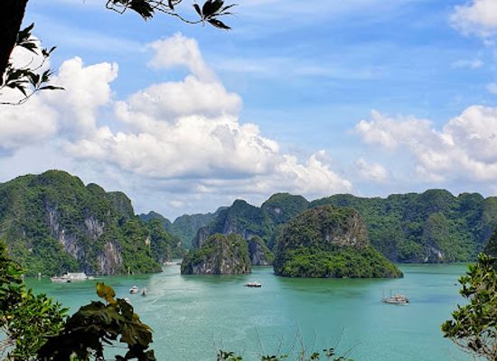 vietnam/ha-long/landmark/dragon-bay-park