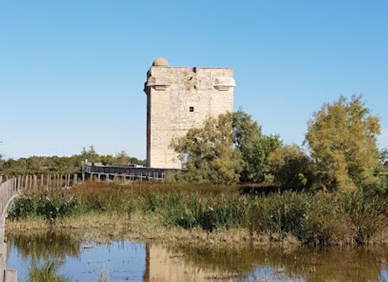 france/camargue/landmark/carbonniere-tower