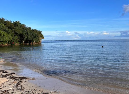 guam/mount-jumullong-manglo/landmark/turtle-cove