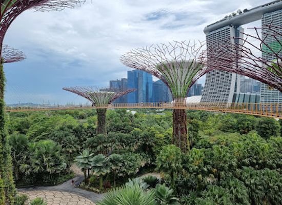 singapore/punggol/landmark/gardens-by-the-bay