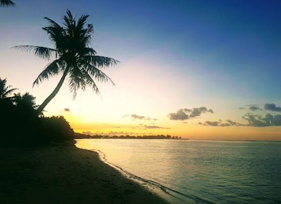 guam/hagatna/landmark/ture-cafe