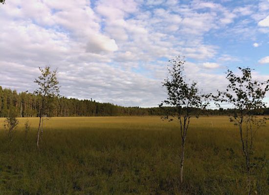 finland/oulu/landmark/huutilampi