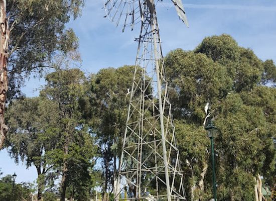 australia/central-victoria/landmark/pioneer-settlement-heartbeat-of-the-murray-laser-spectacular