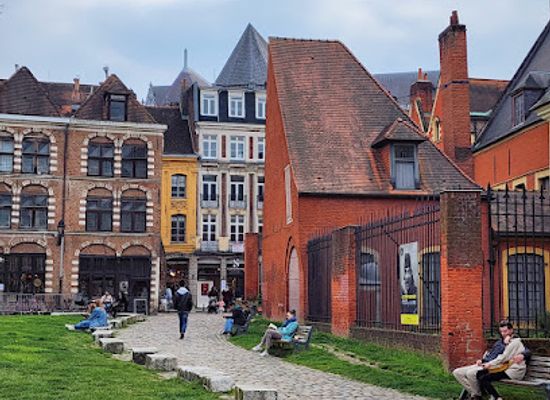france/lille/vieux-lille/landmark/ilot-comtesse
