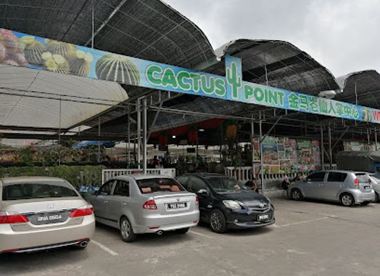 malaysia/cameron-highlands/landmark/cactus-point-brinchang-pahang