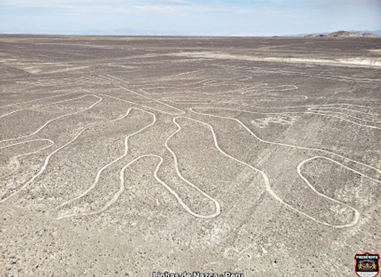 peru/nazca-lines/landmark/naska-jisanghwa