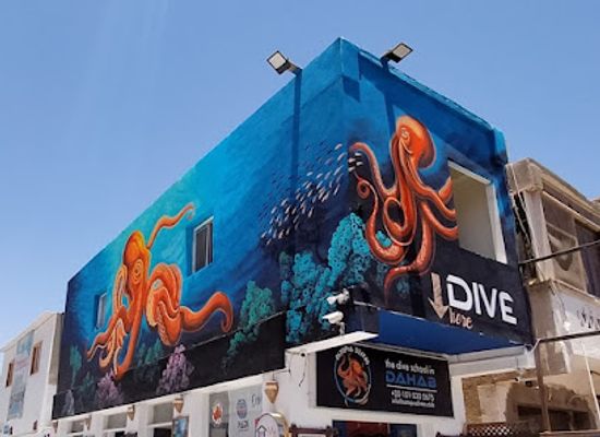 egypt/dahab/landmark/my-hostel-in-dahab-dive-club