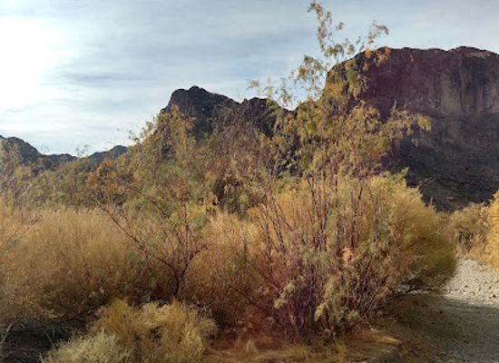 arizona/mohave-county/landmark/river-gauge-house-site