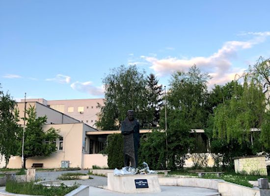 kosovo/kamenica/landmark/busti-i-fehmi-aganit