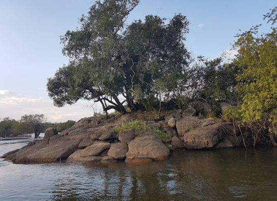 zambia/kafue-flats/landmark/kafue-national-park