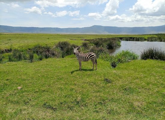 tanzania/ngorongoro-conservation-area/landmark/ngorongoro-conservation-area-authority-headquater