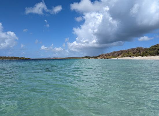 puerto-rico/vieques/landmark/bahia-de-la-chiva