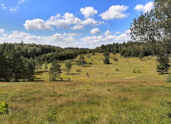 netherlands/gelderland/landmark/landgoed-de-paltz-utrechts-landschap