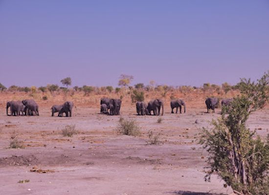 namibia/etosha-national-park/landmark/khaudum-national-park