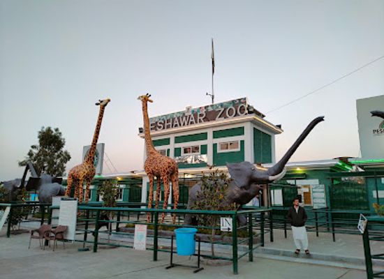 pakistan/peshawar/landmark/peshawar-zoo