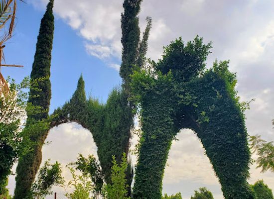 yemen/al-jawf/landmark/arboretum-and-flowers-happy-yemen