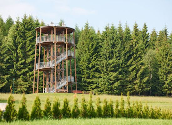 germany/saxony/landmark/lookout-tower-oberbarenburg