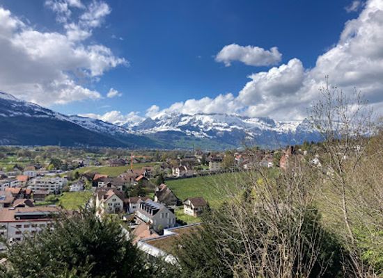 liechtenstein/ruggell-region/landmark/vaduz-citytrain-ag