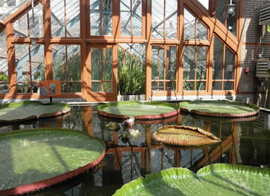 netherlands/utrecht/landmark/oude-hortus