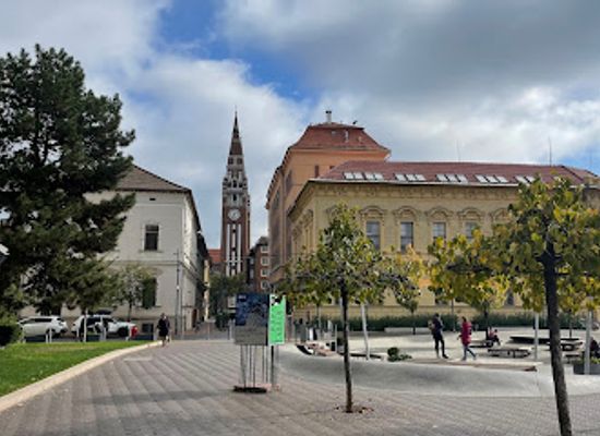 hungary/szeged-csanad/landmark/pig-headed-tree