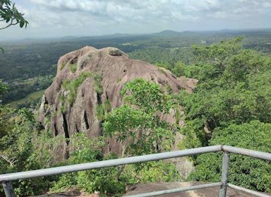 sri-lanka/gampaha-district/landmark/maligathanna-raja-maha-viharaya