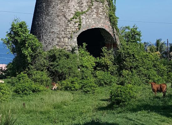 saint-vincent-and-the-grenadines/saint-patrick/landmark/rawacou-recreational-park