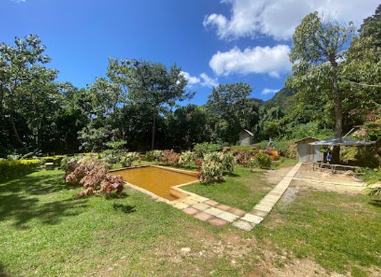 dominica/la-plaine/landmark/bambooze-sulphur-baths