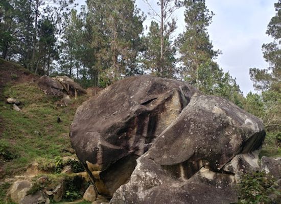 dominican-republic/constanza/landmark/la-piedra-letrada