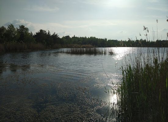 poland/bydgoszcz/fordon/landmark/glaz-wojciech