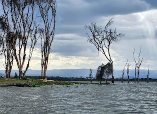 kenya/naivasha/landmark/watamu-boat-rides-naivasha