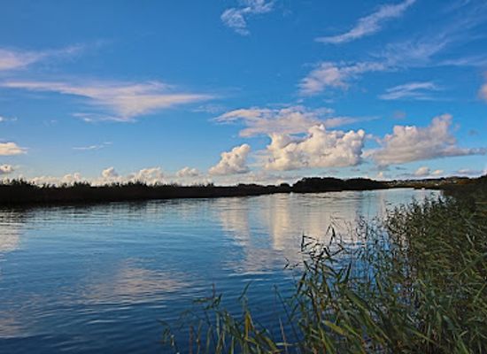denmark/randers/attraction/randers-naturcenter