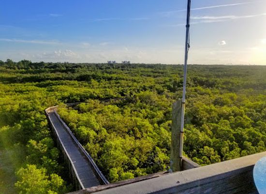 florida/northeast-florida/landmark/weedon-island-preserve