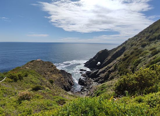 chile/valdivia/landmark/punta-curinanco