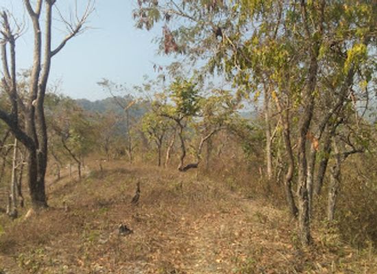 bhutan/samdrup-jongkhar-district/landmark/delaisri-eco-tourism
