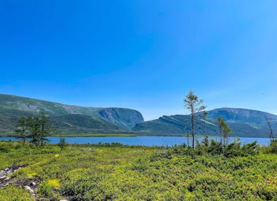 canada/gros-morne-national-park/landmark/under-the-stump-www-underthestump-ca