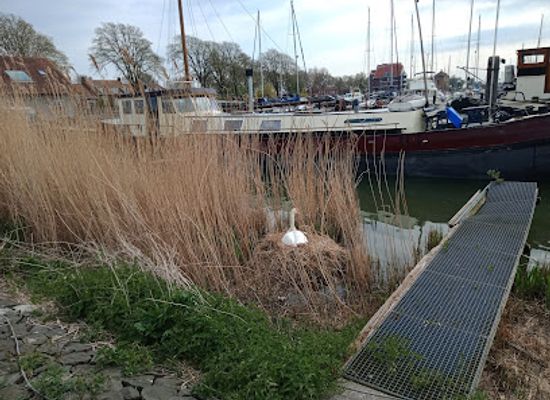 netherlands/flevoland/landmark/jachthaven-de-noordvaarder